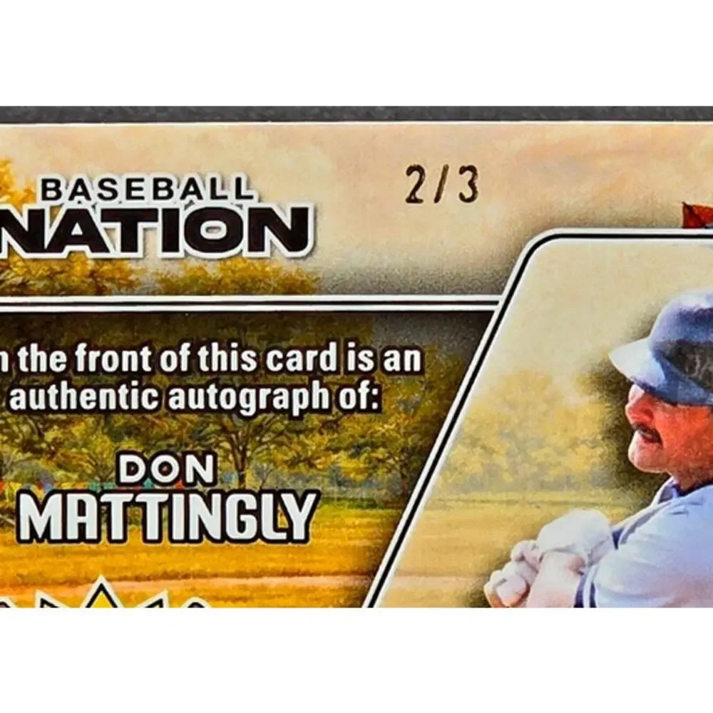 Panini 2026 don